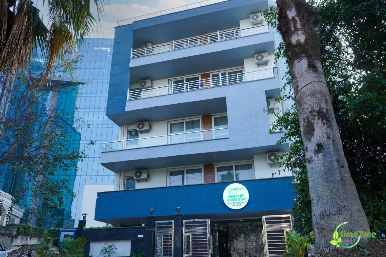 Lime Tree Hotel Near 32Nd Avenue Sector 29 Γκουργκάον Εξωτερικό φωτογραφία